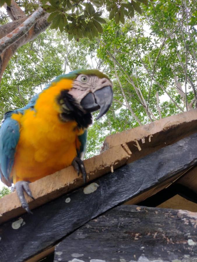 Hotel Alto Amazonas Leticia Exteriér fotografie